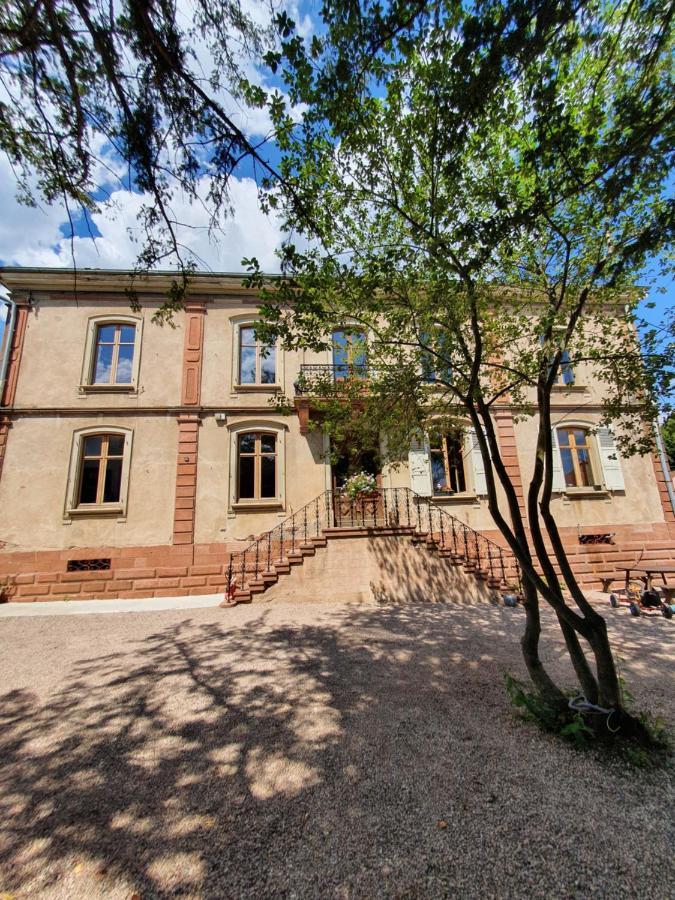 Sojolidays - Appartements D'Hotes Sur La Route Des Vins D'Alsace Rorschwihr Exterior foto