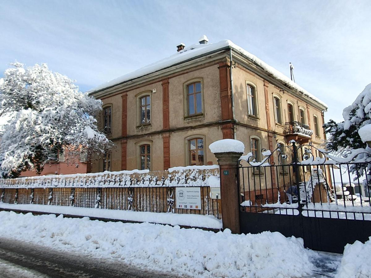 Sojolidays - Appartements D'Hotes Sur La Route Des Vins D'Alsace Rorschwihr Exterior foto